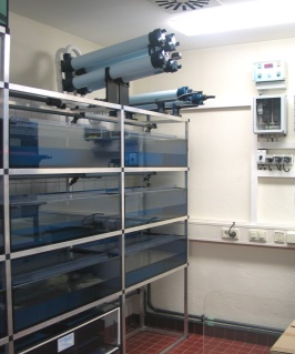 Xenopus research facility with fine filter(quadruble) on top